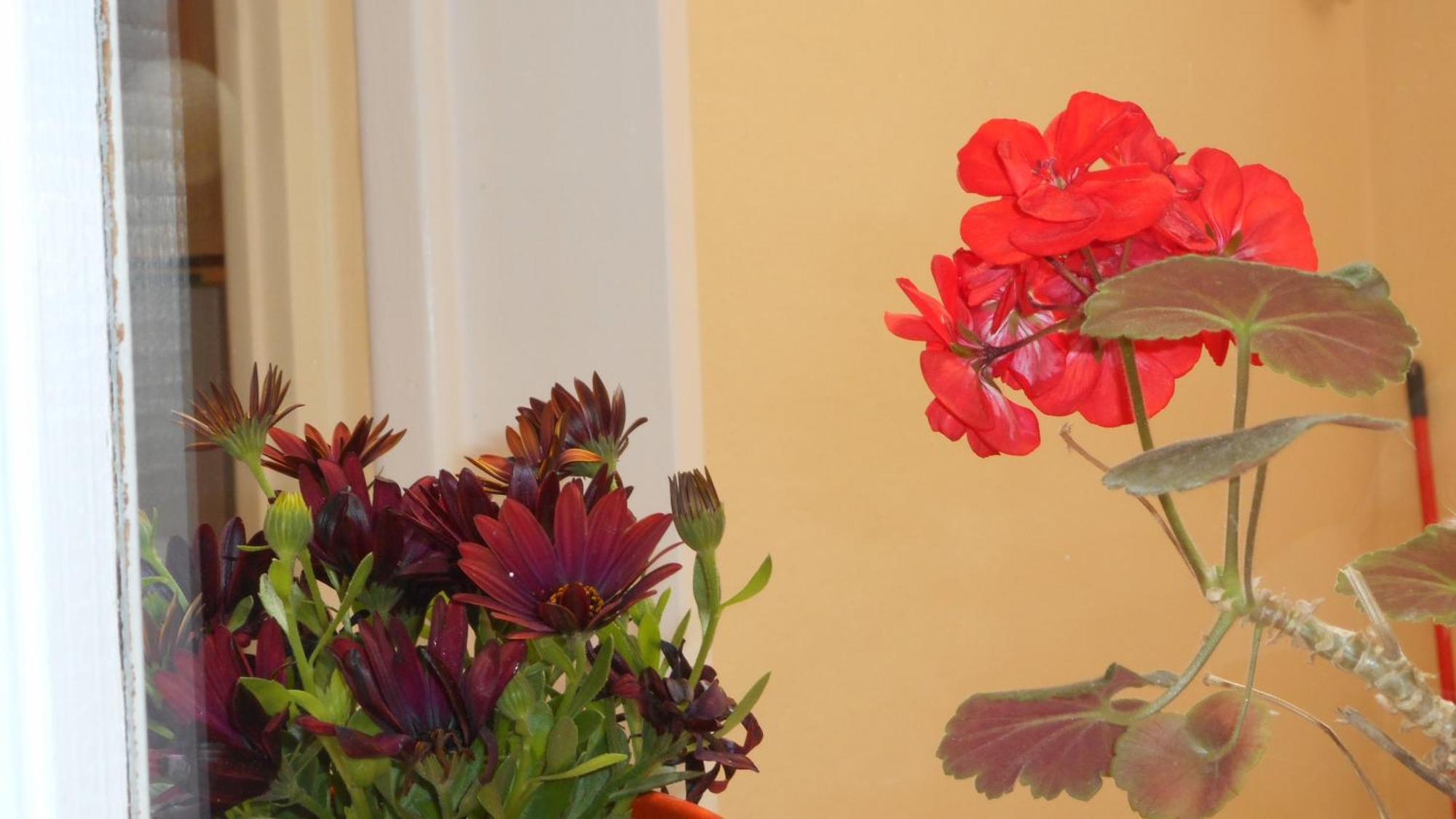 Elegant And Comfortable Apartment In The City Center Ermoupoli Exterior photo